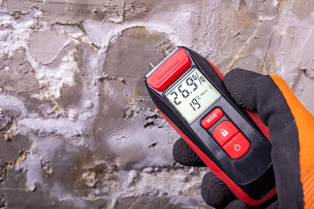 Best DIY Mold Remediation Support Services in Fruitridge Pocket, CA